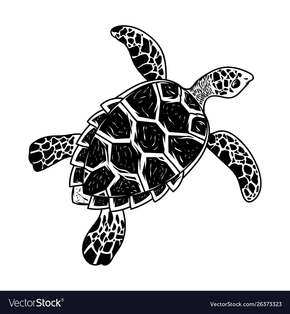 Big sea ocean wild animal turtle Royalty Free Vector Image