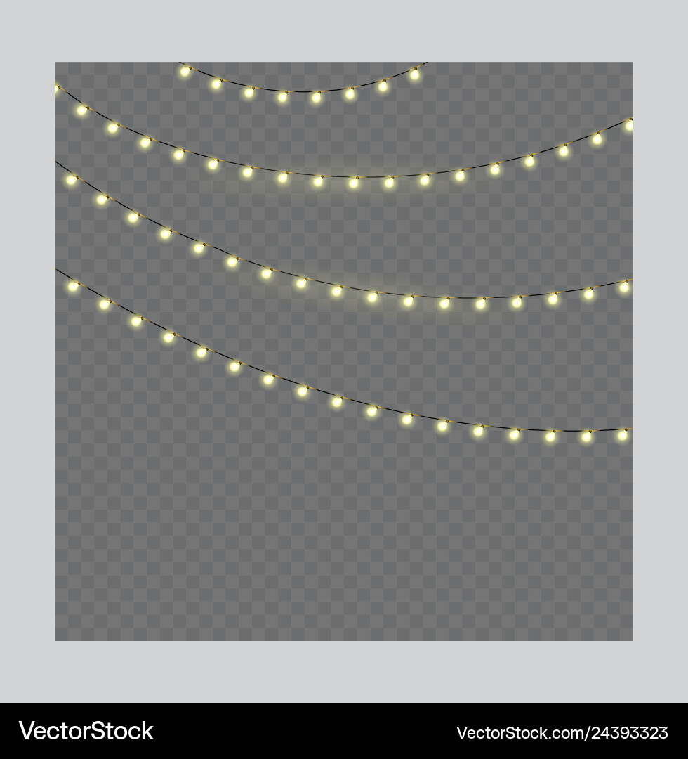Christmas lights on rope isolated on a Royalty Free Vector