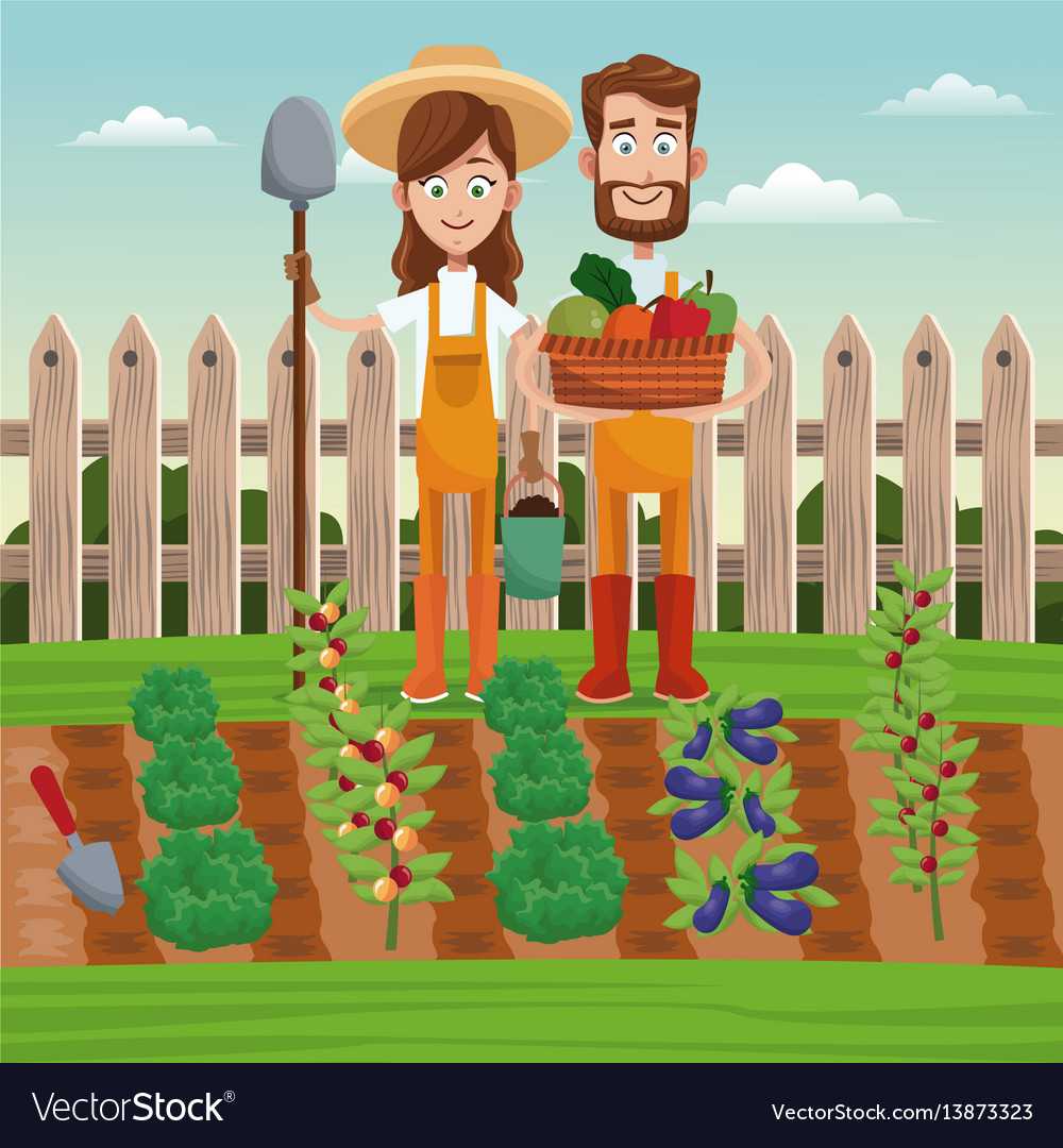 Couple farmers vegetable basket field fence Vector Image