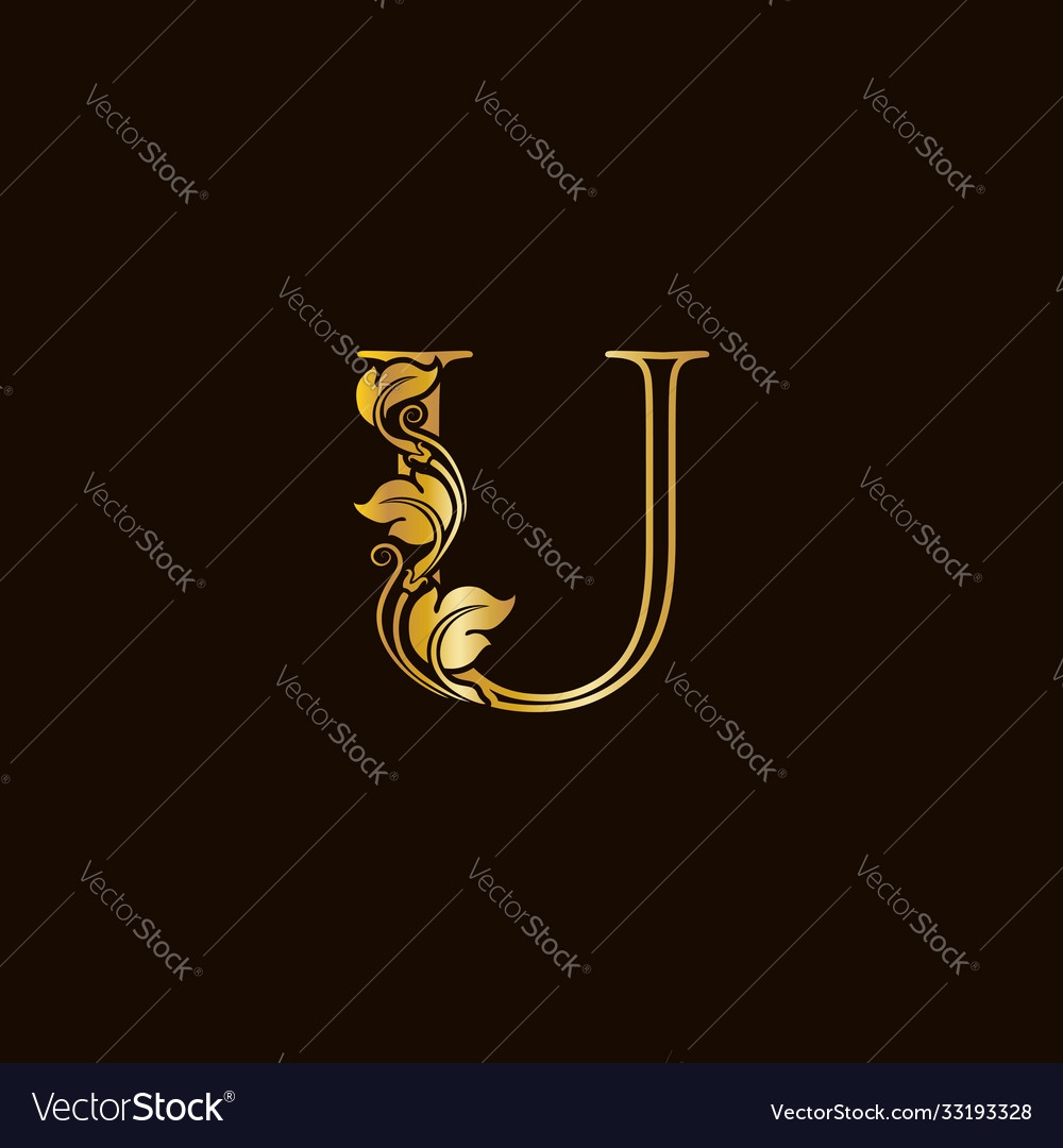 Luxury initial line u Royalty Free Vector Image