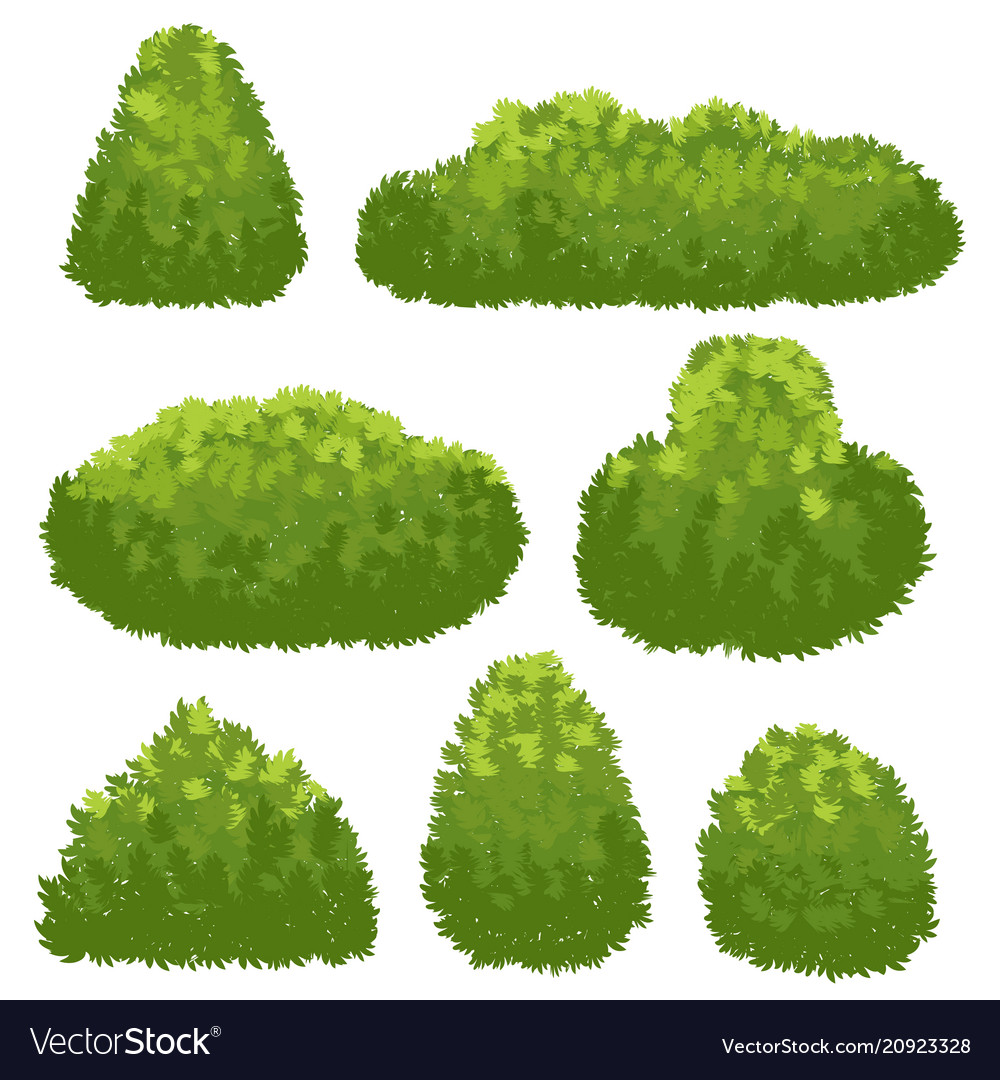 Nature hedge garden green bushes cartoon shrub Vector Image