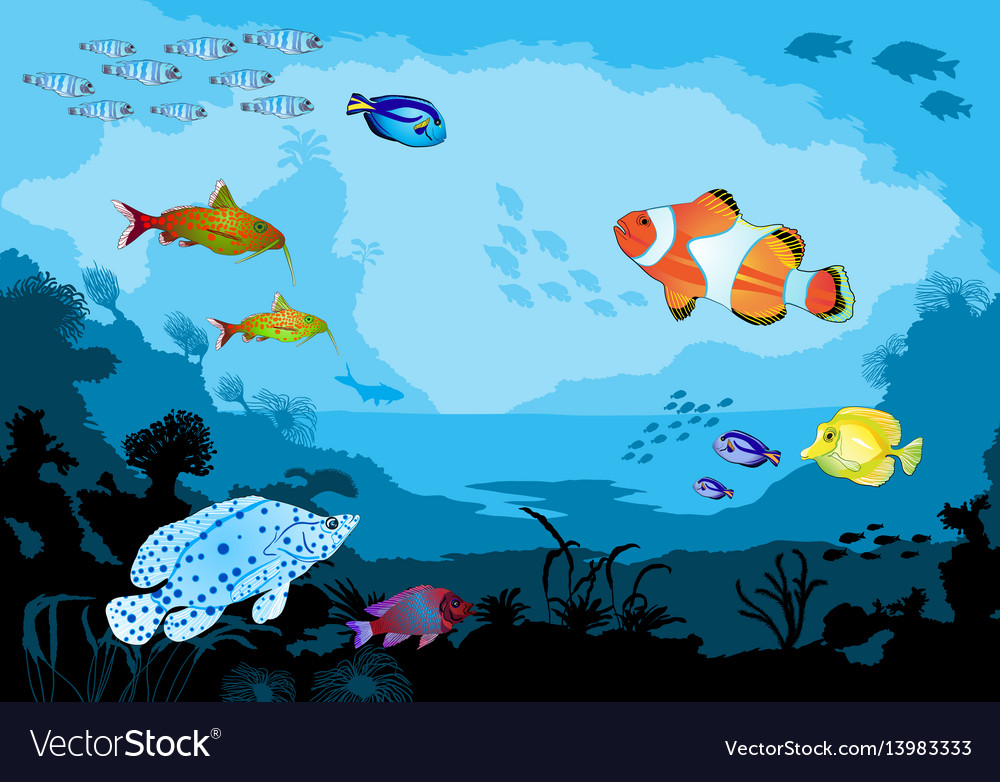 Ocean Underwater World With Tropical Animals