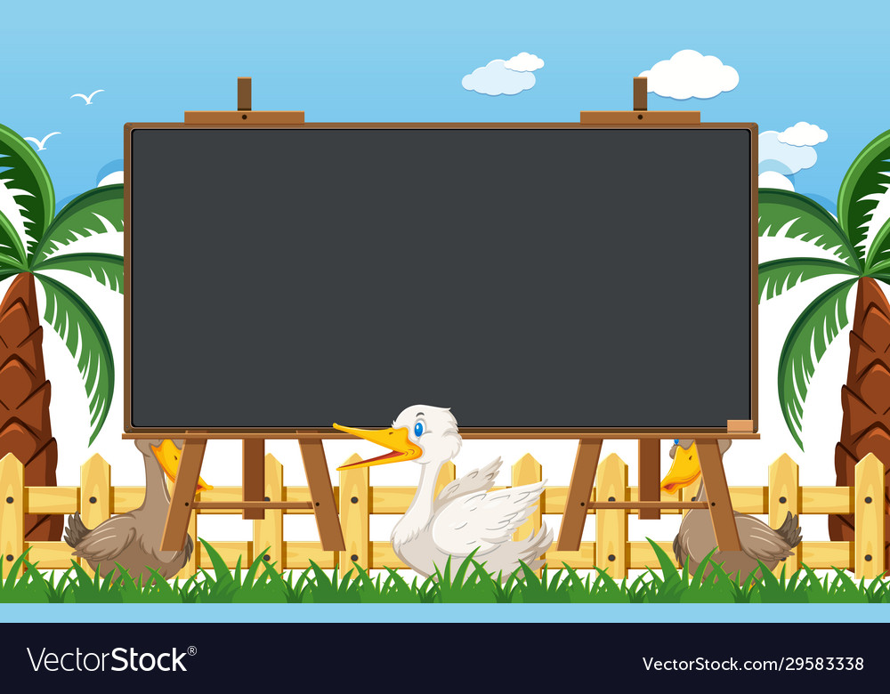 Blackboard template design with ducks in park