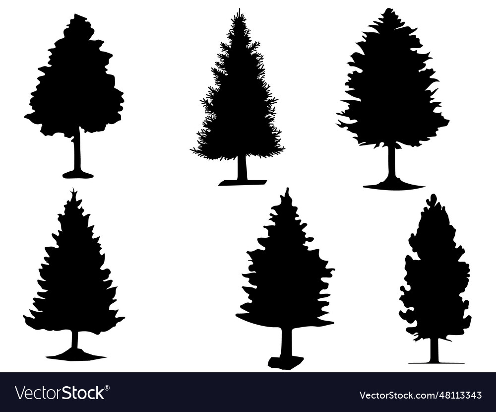 Forest silhouettes of wonderful pine tree collecti