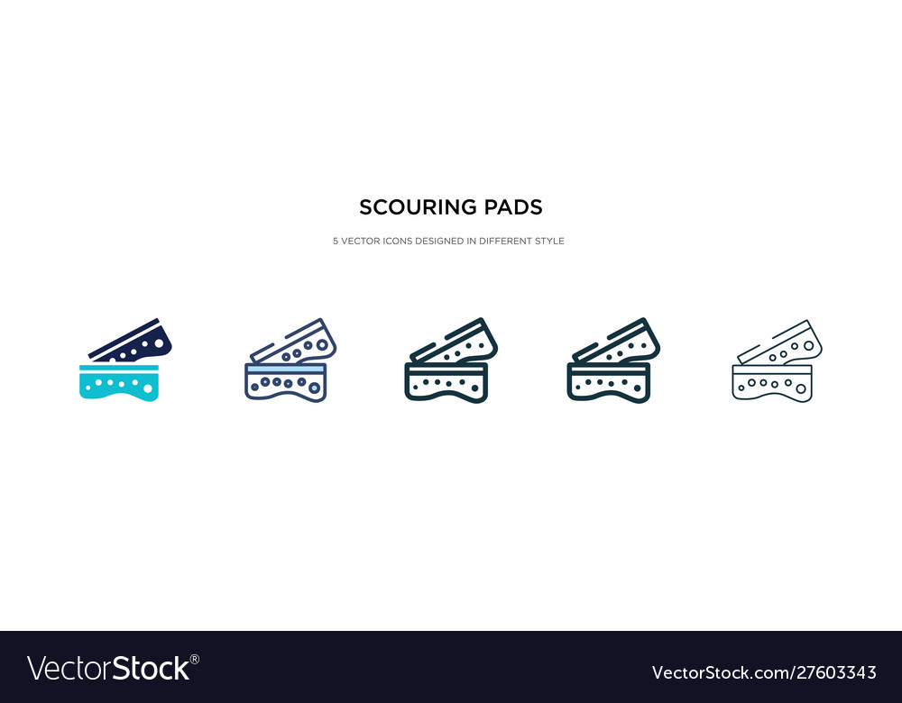 Scouring pads icon in different style two