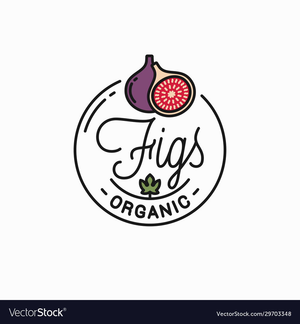 Figs fruit logo round linear fig slice Royalty Free Vector