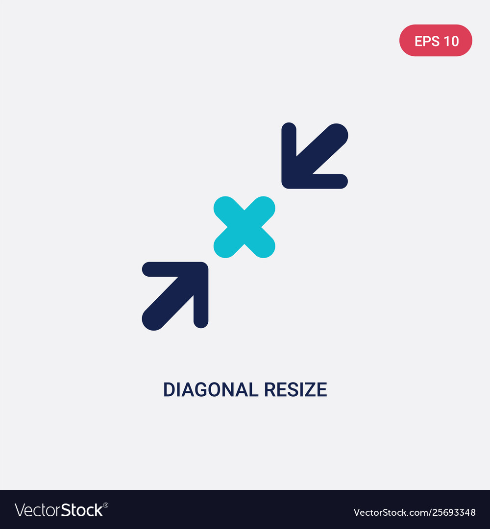 Two color diagonal resize icon from arrows Vector Image