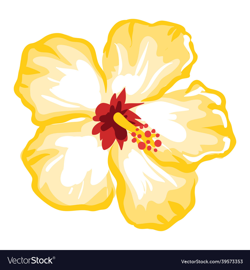 Stylized of hibiscus flower image