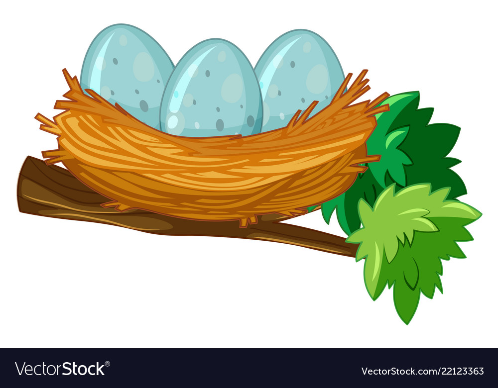 Egg on nest Royalty Free Vector Image VectorStock