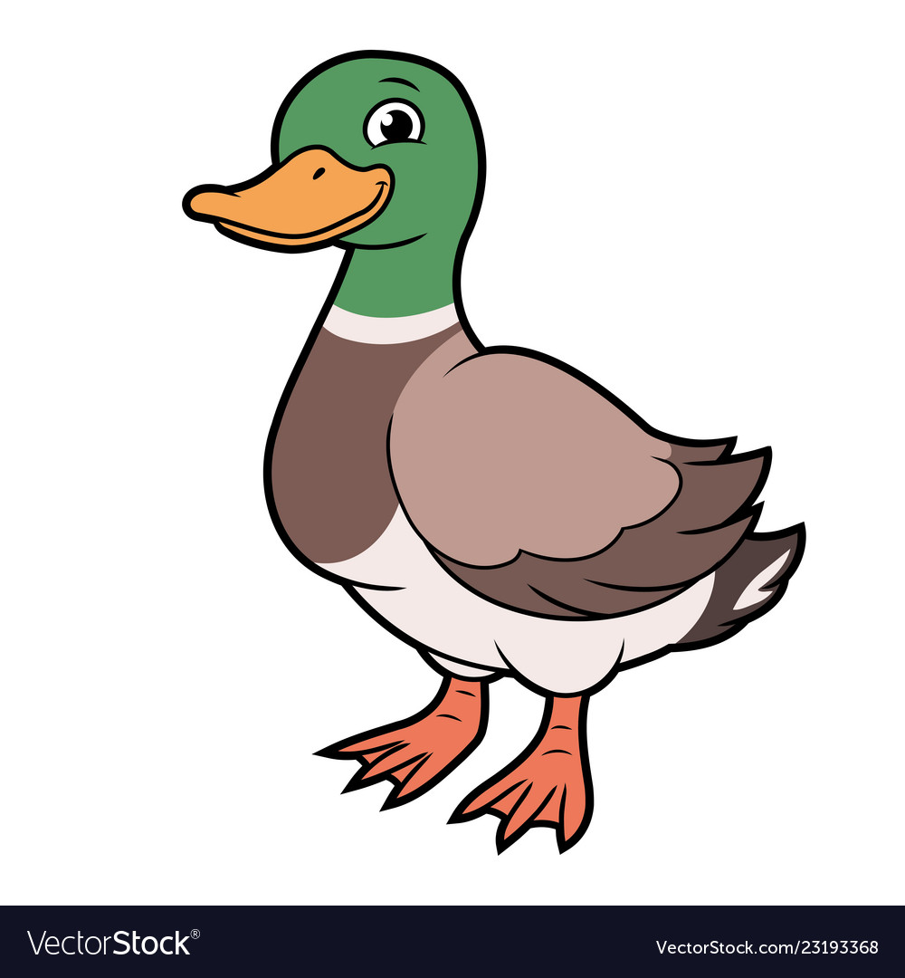 Cartoon a duck Royalty Free Vector Image - VectorStock