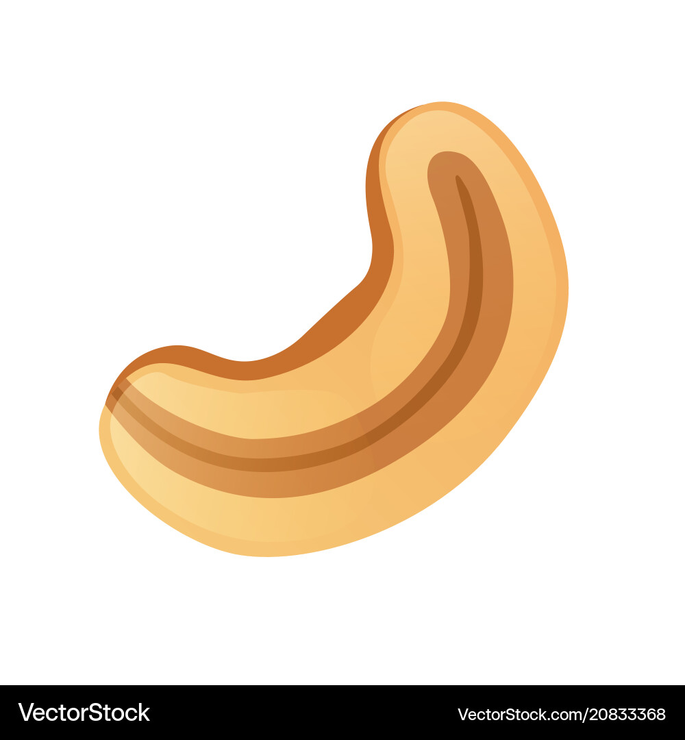 Cashew nut in cartoon style Royalty Free Vector Image