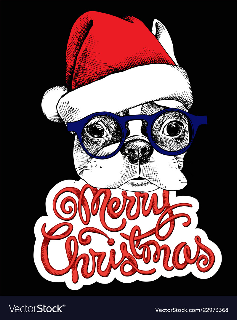 Dog christmas Royalty Free Vector Image - VectorStock