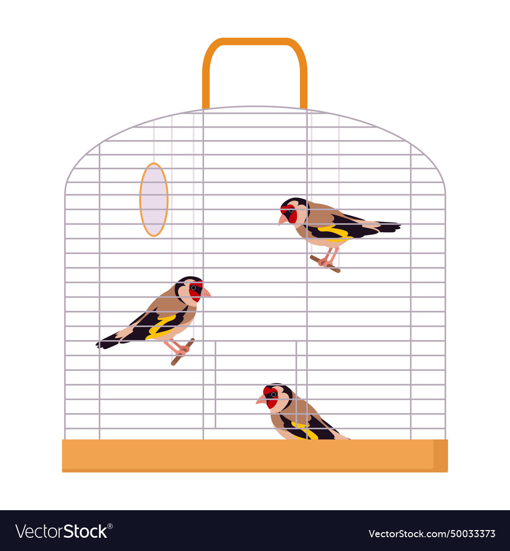 Bird cage decorative birds sitting in wire Vector Image