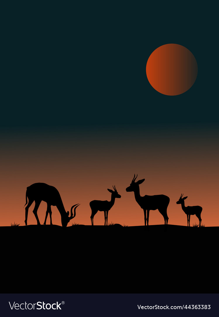 Four deer silhouettes on a hill with sunset