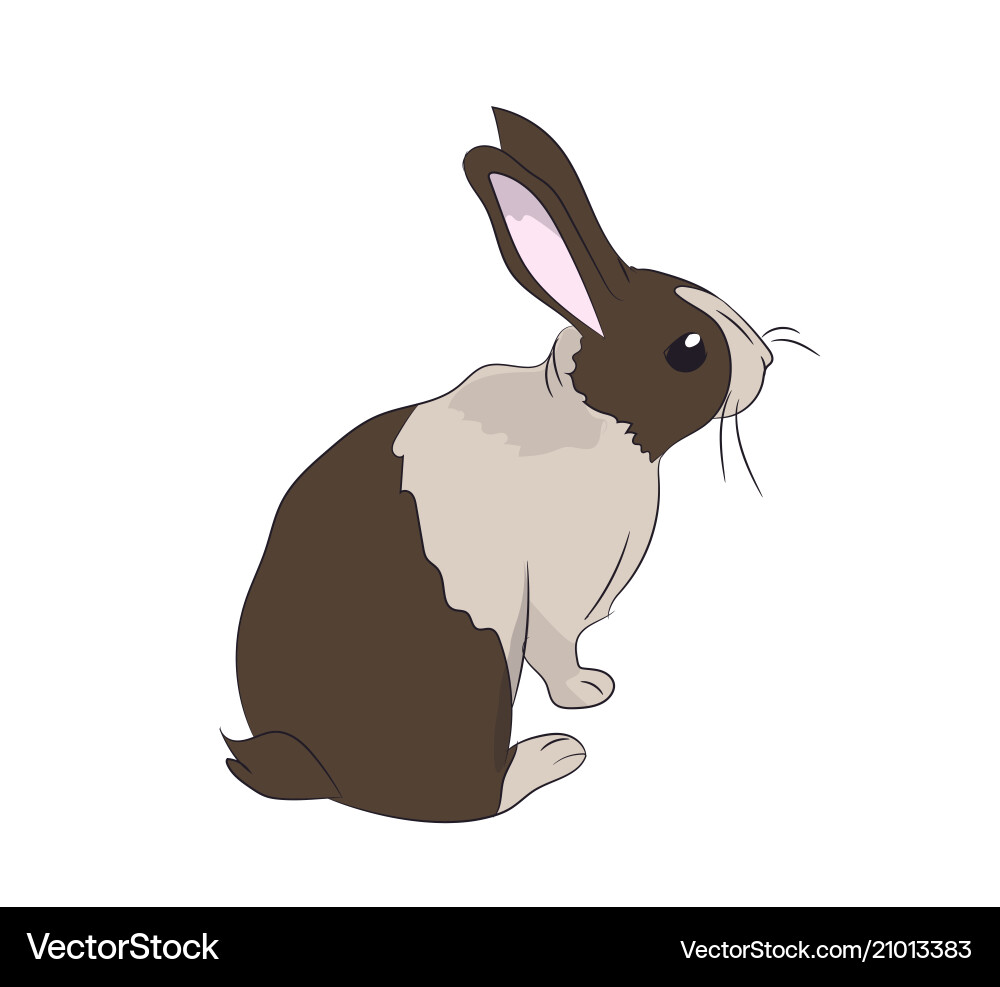 Hare sits Royalty Free Vector Image - VectorStock