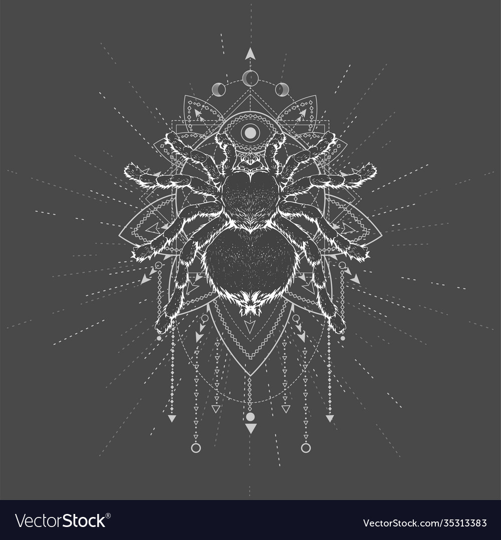 Moon priestess таро. паук арт. защитный тотем. тотем паук. прядущий мизгирь тотем.