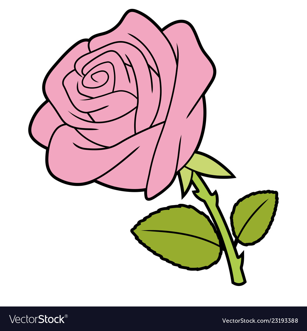 A pink rose Royalty Free Vector Image - VectorStock