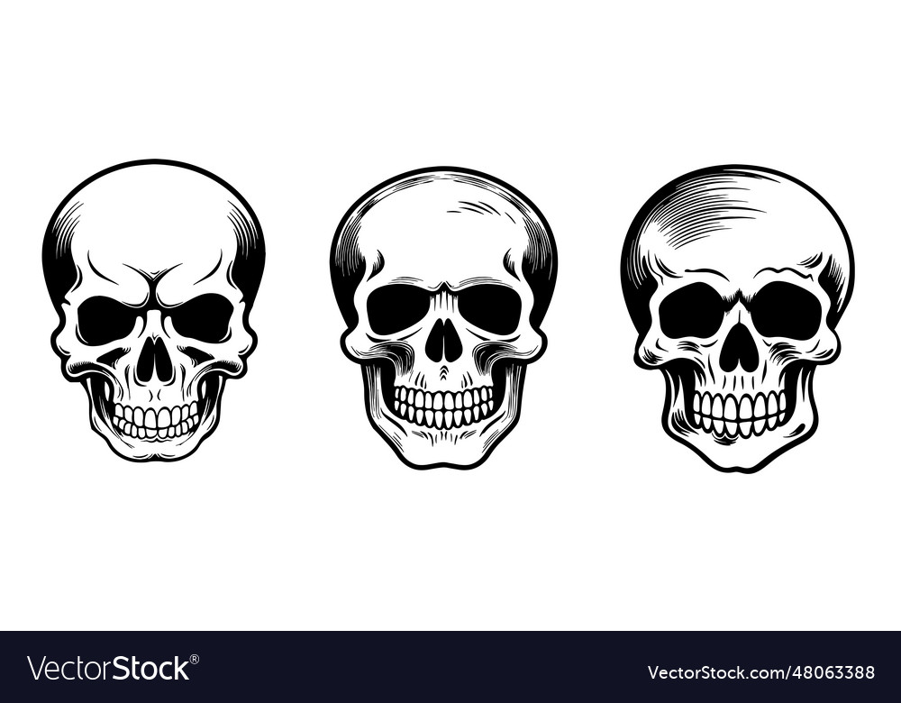 Set of skulls sketch hand drawn death day