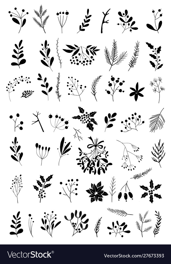 Christmas design elements with briar berries fir vector image Christmas design elements with briar berries fir