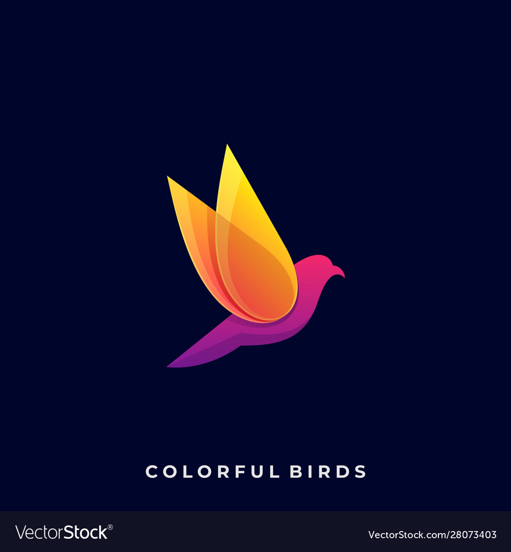 Color full bird template royalty free vector image