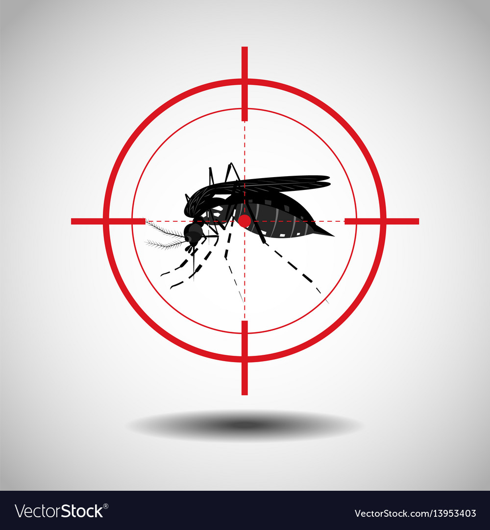 Mosquito how to deals kill