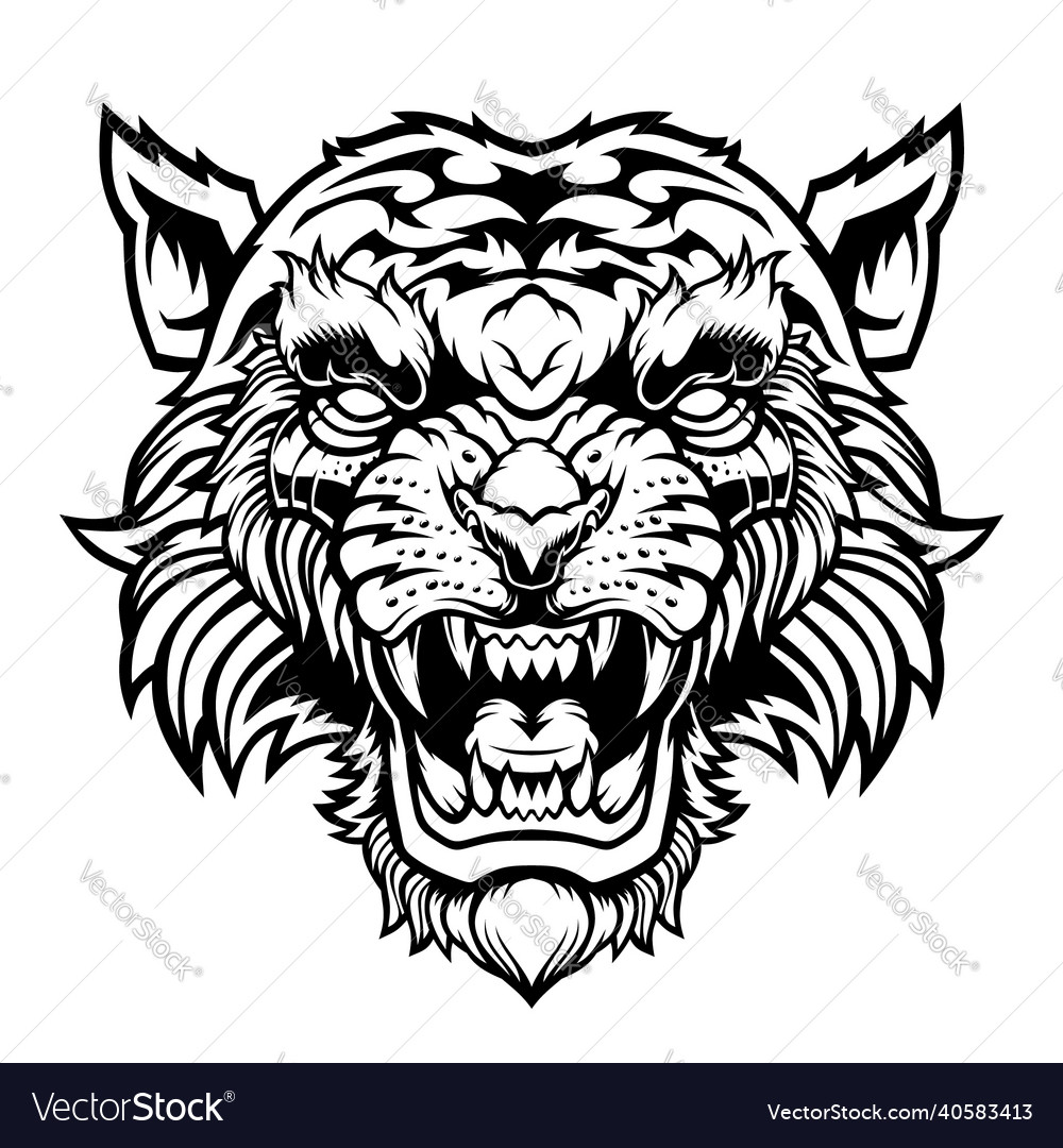 Angry tiger head Royalty Free Vector Image - VectorStock