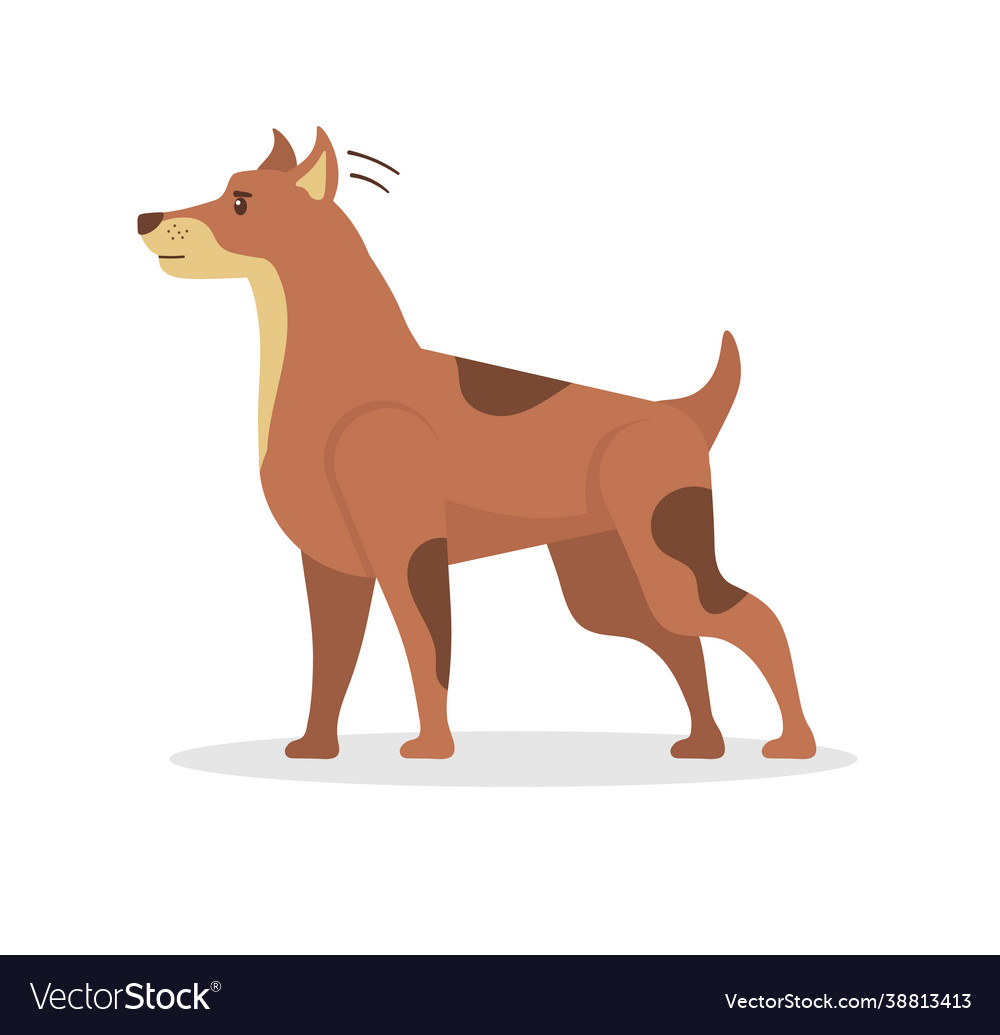 Cute dogs cartoon character in flat style Vector Image