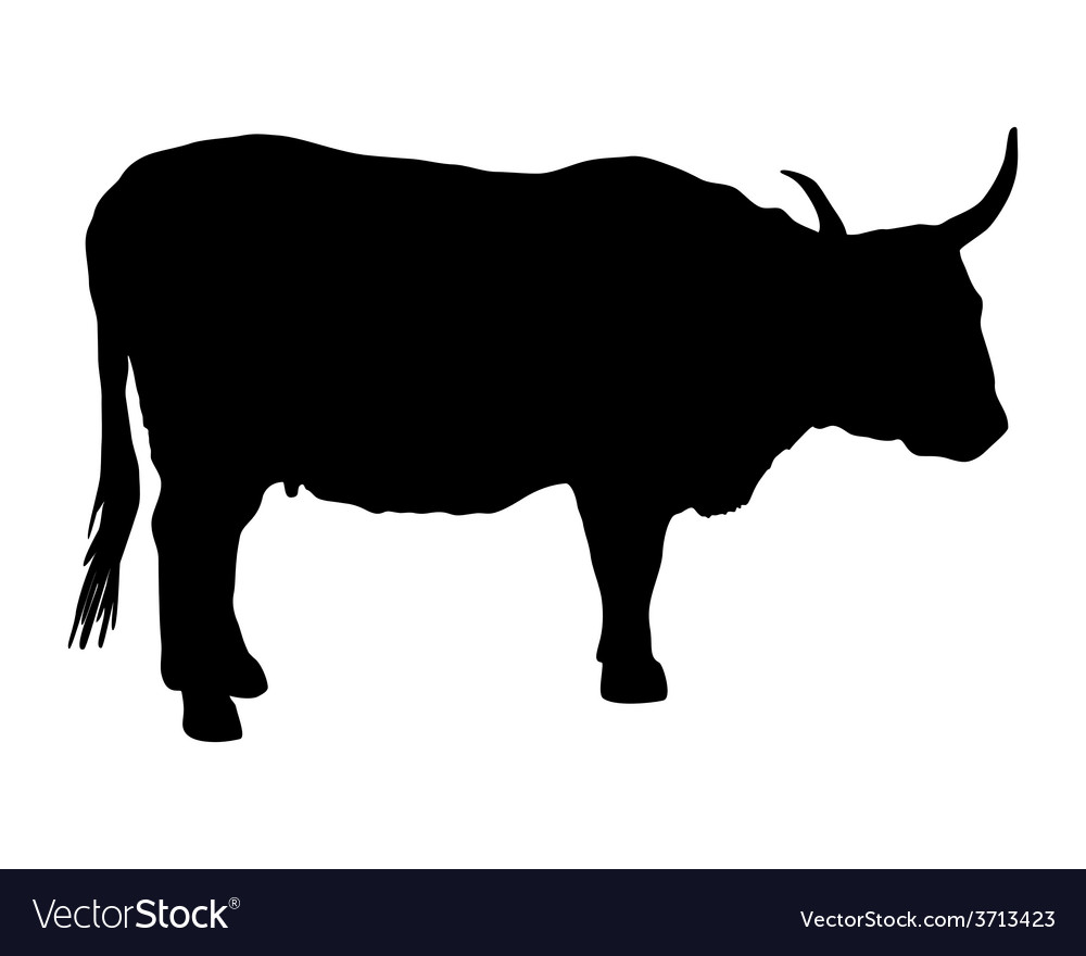 Aurochs On White Royalty Free Vector Image - Vectorstock