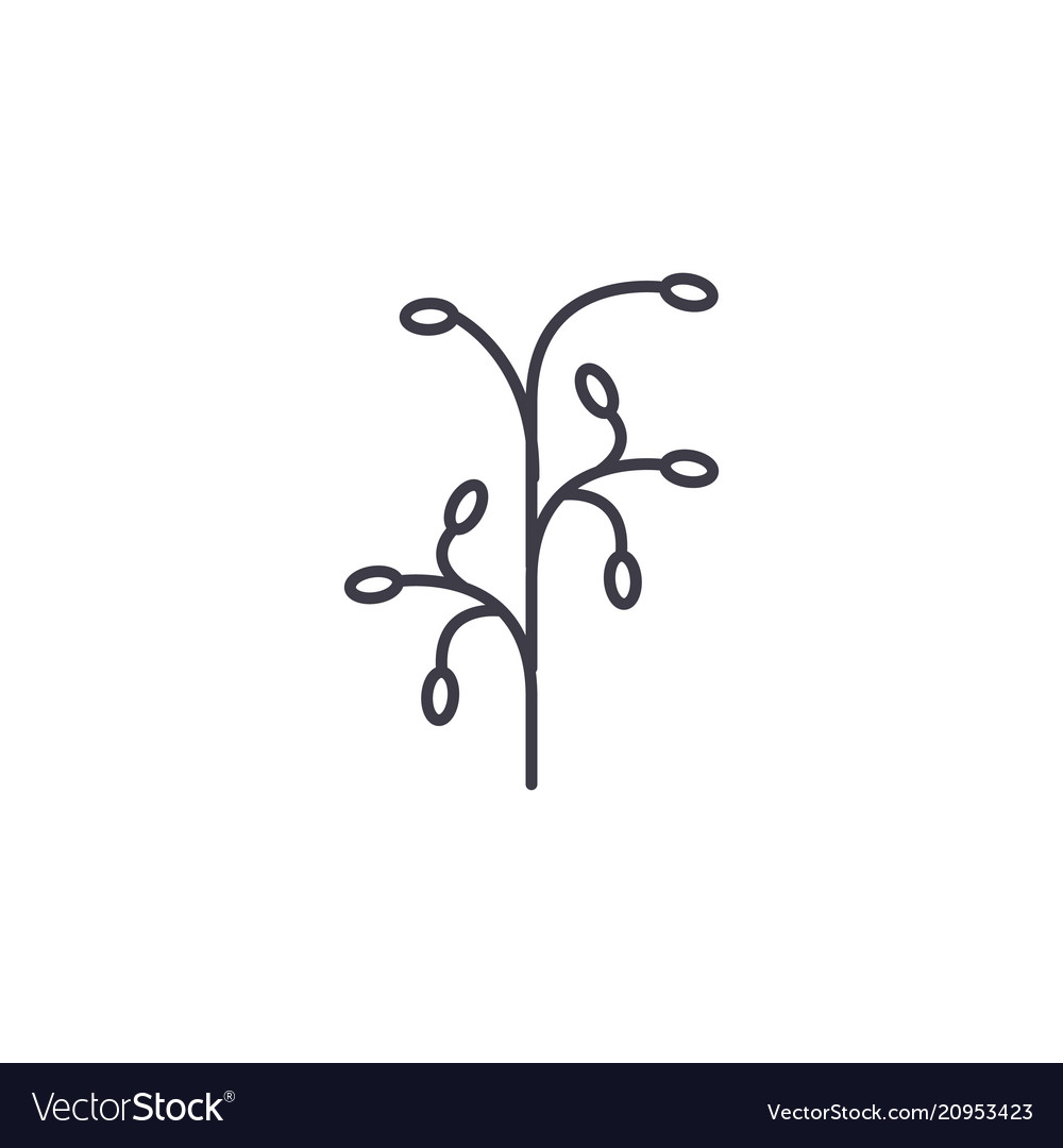 Botanical branch line icon concept