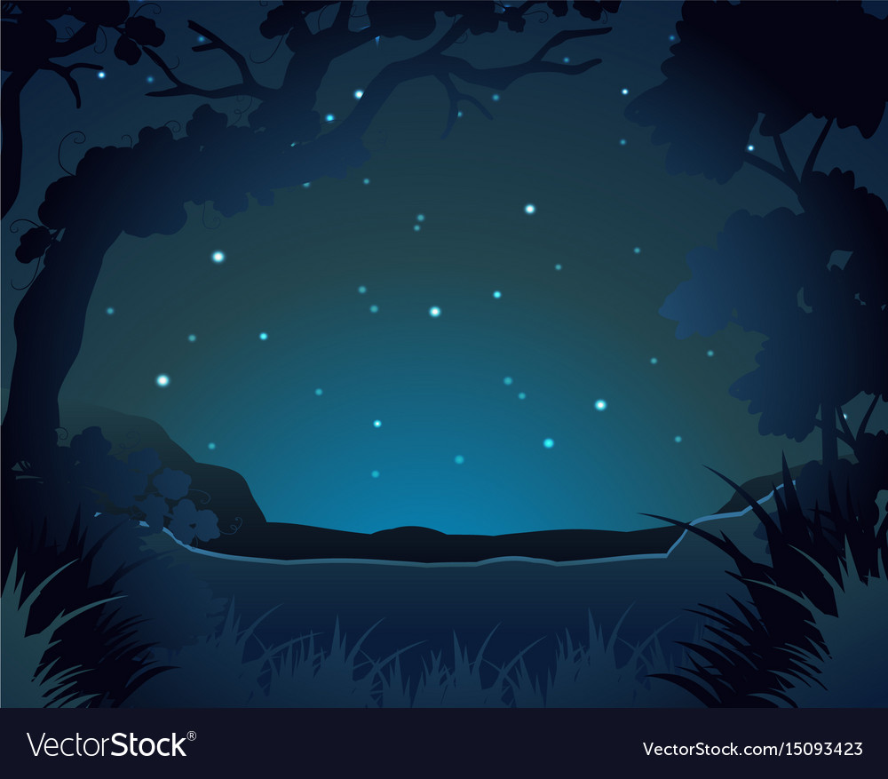 forest night scene