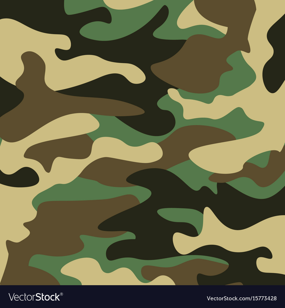 Camouflage pattern background classic clothing Vector Image