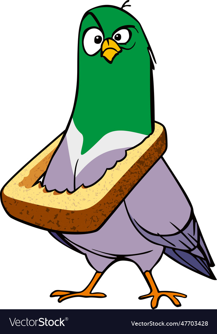 City pigeon with a bread crust around its neck Vector Image