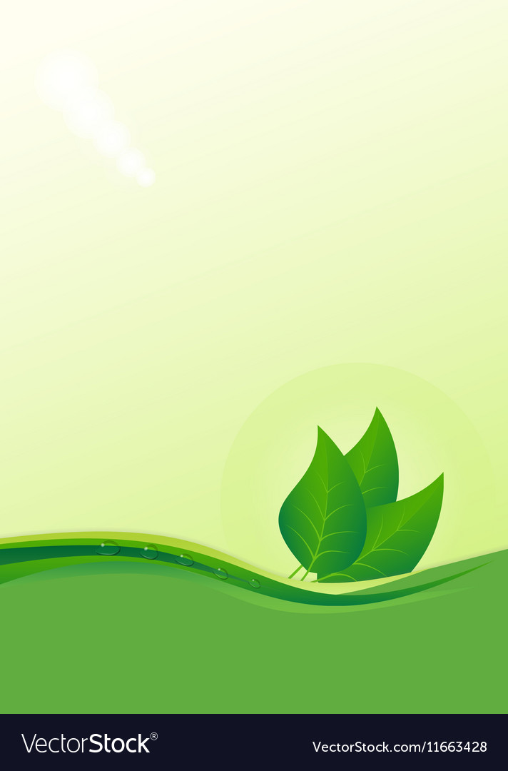 Eco background with leaves Royalty Free Vector Image