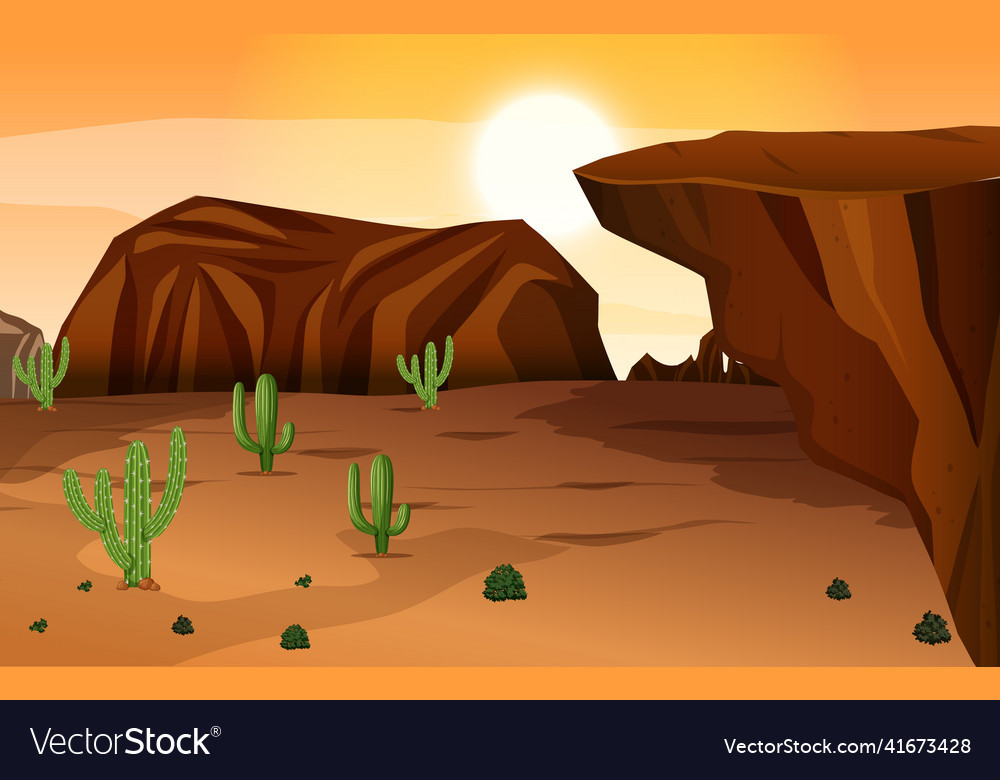 Scene with cactus in the desert