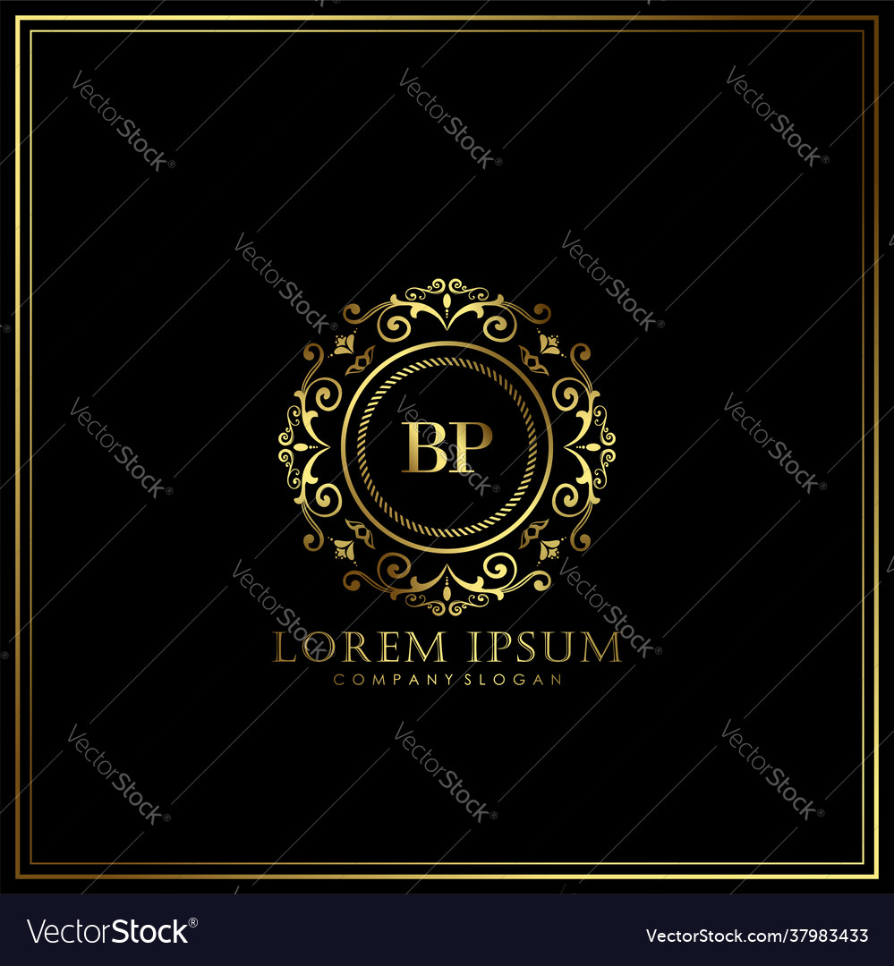 Bp initial letter luxury logo template in art Vector Image