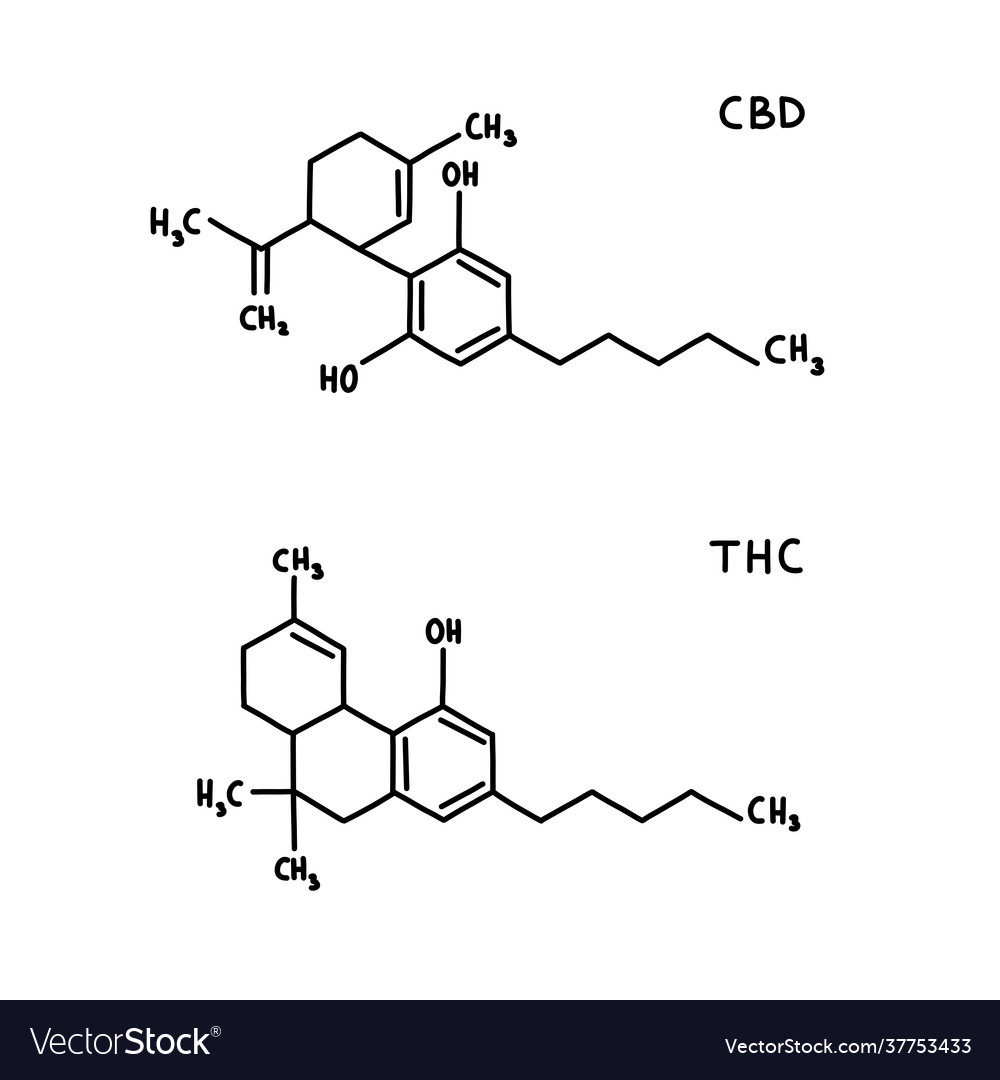 Cbd and thc chemical formula doodle icon