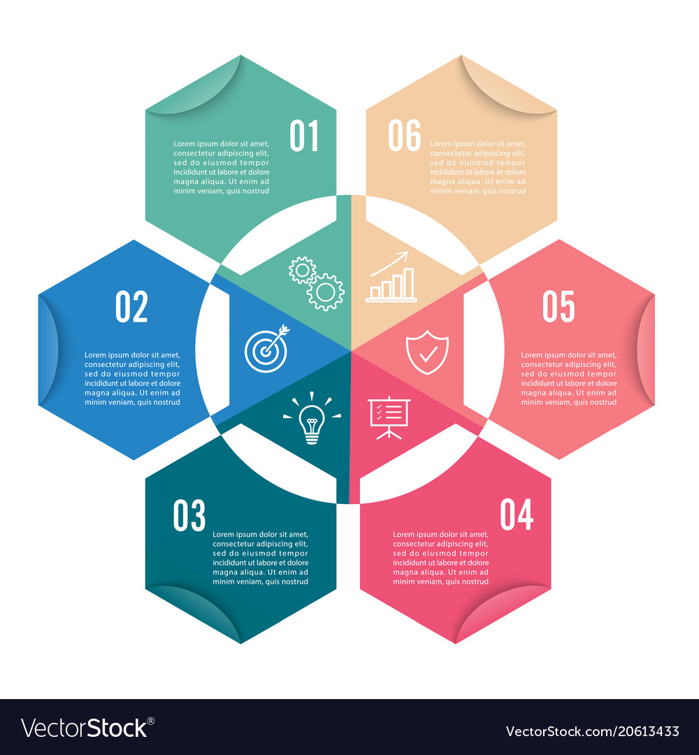 Infographics 6 options template Royalty Free Vector Image