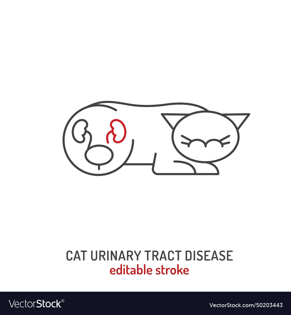 Flutd in cats linear icon pictogram symbol Vector Image