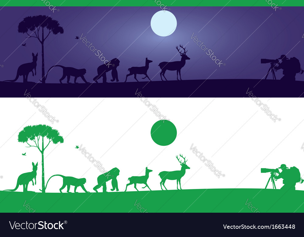 Animals wall decal Royalty Free Vector Image VectorStock
