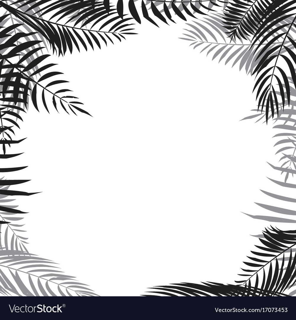 Download Palm leaf border Royalty Free Vector Image - VectorStock