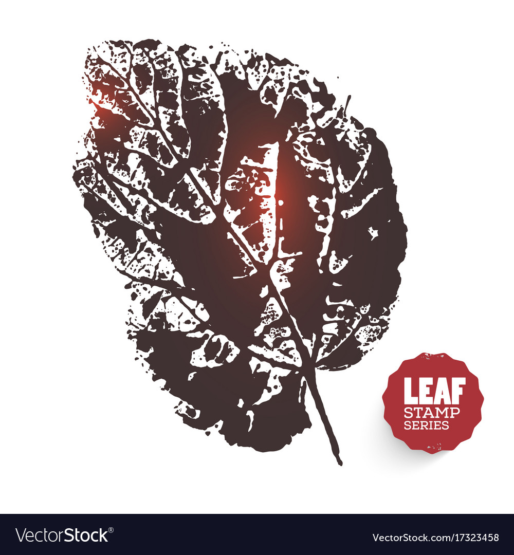 Design leaf Royalty Free Vector Image - VectorStock