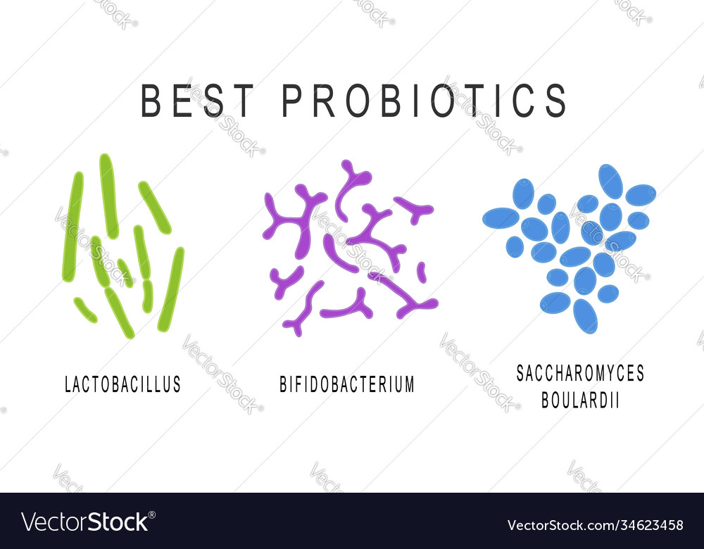 Set probiotics beneficial bacterias for human Vector Image