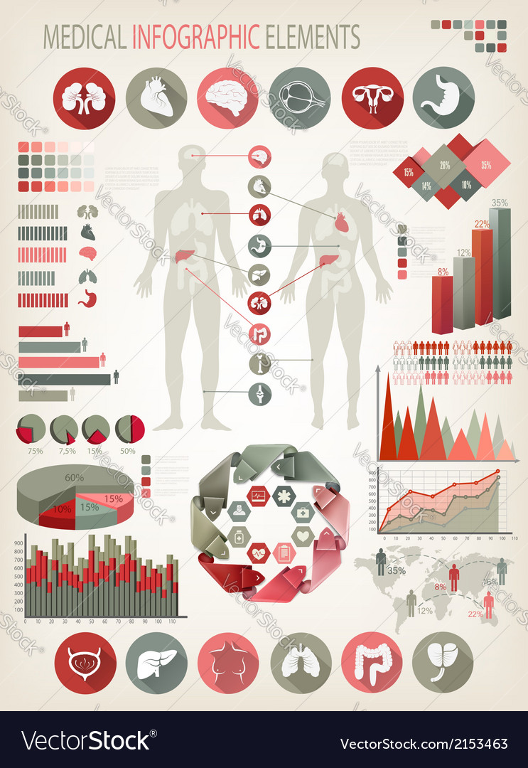 Medical infographics elements human body Vector Image