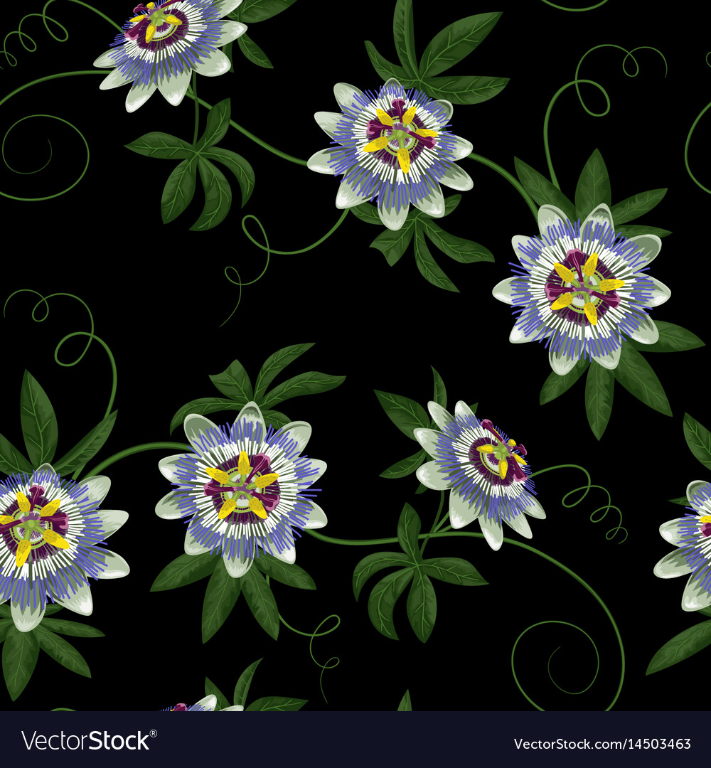 Passiflora seamless pattern