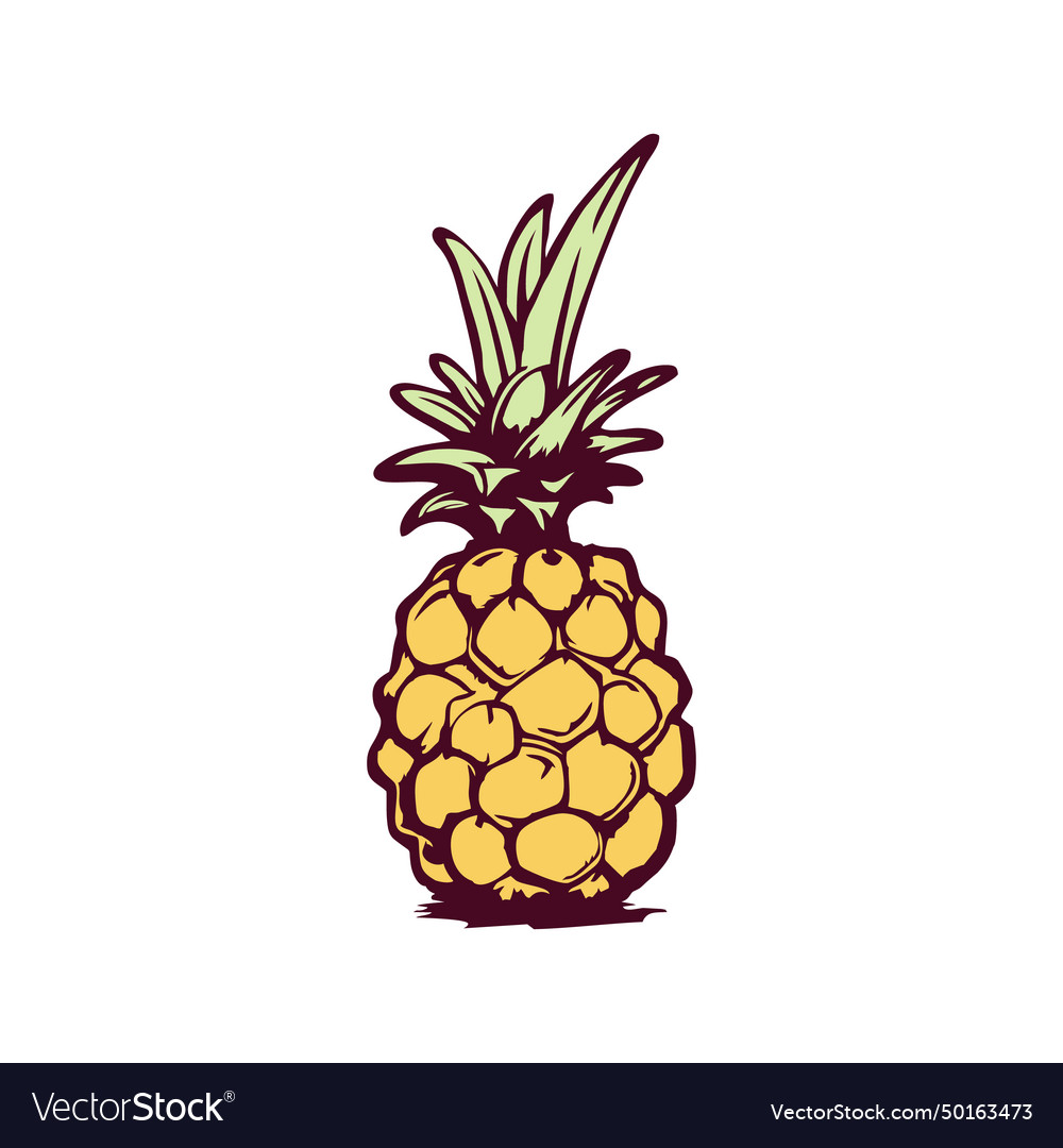 Pineapple Royalty Free Vector Image - VectorStock