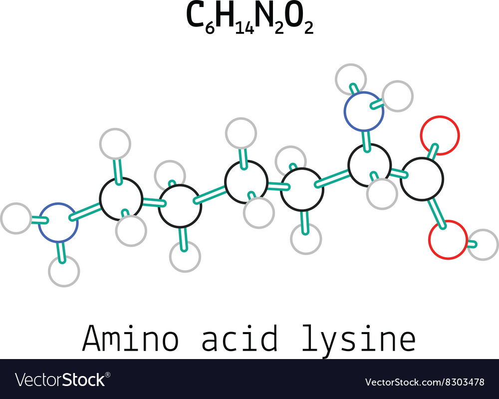 C6h14n2o2 Aminosäurelysinmolekül