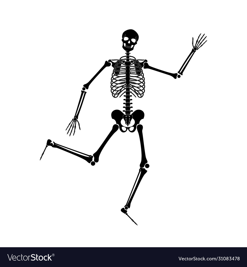 Happy dancing skeletons on halloween Royalty Free Vector