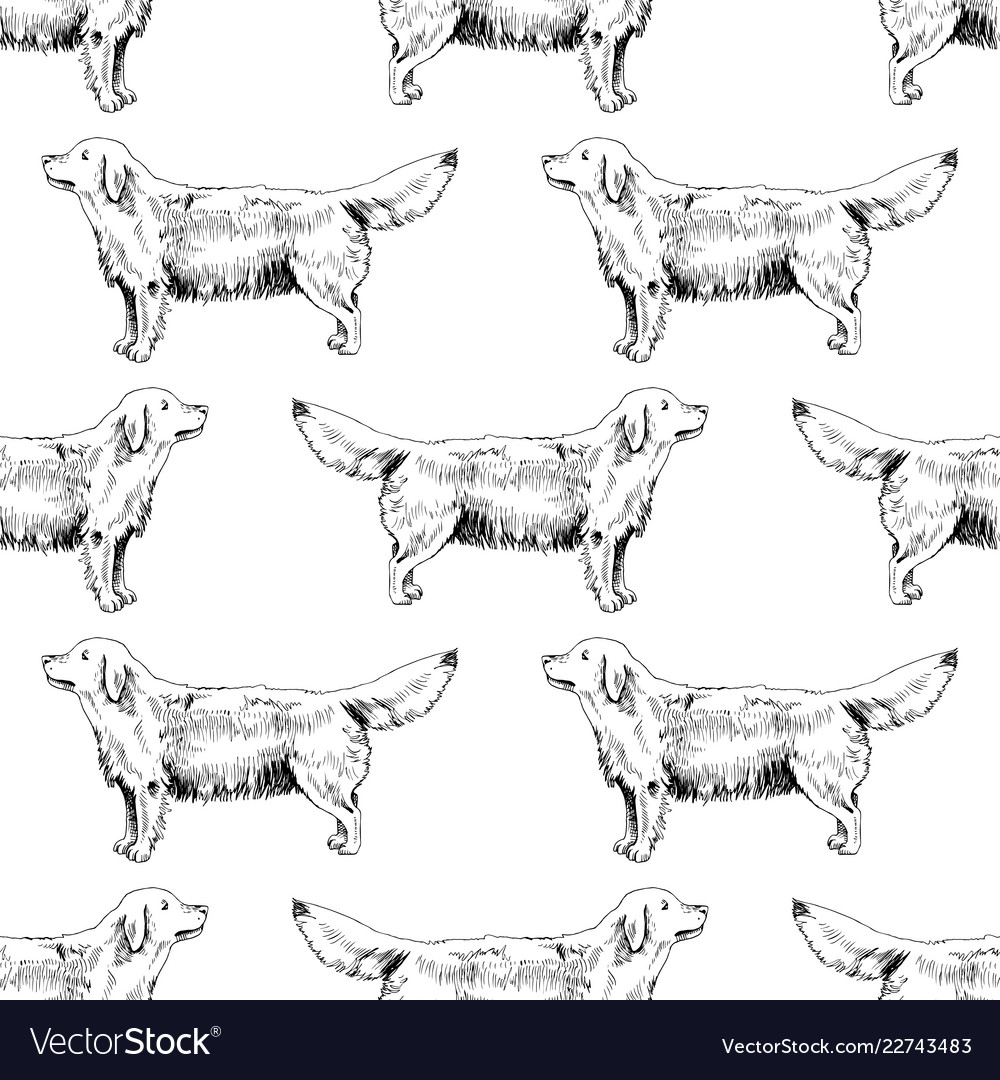 Hand drawn seamless pattern with golden retrievers