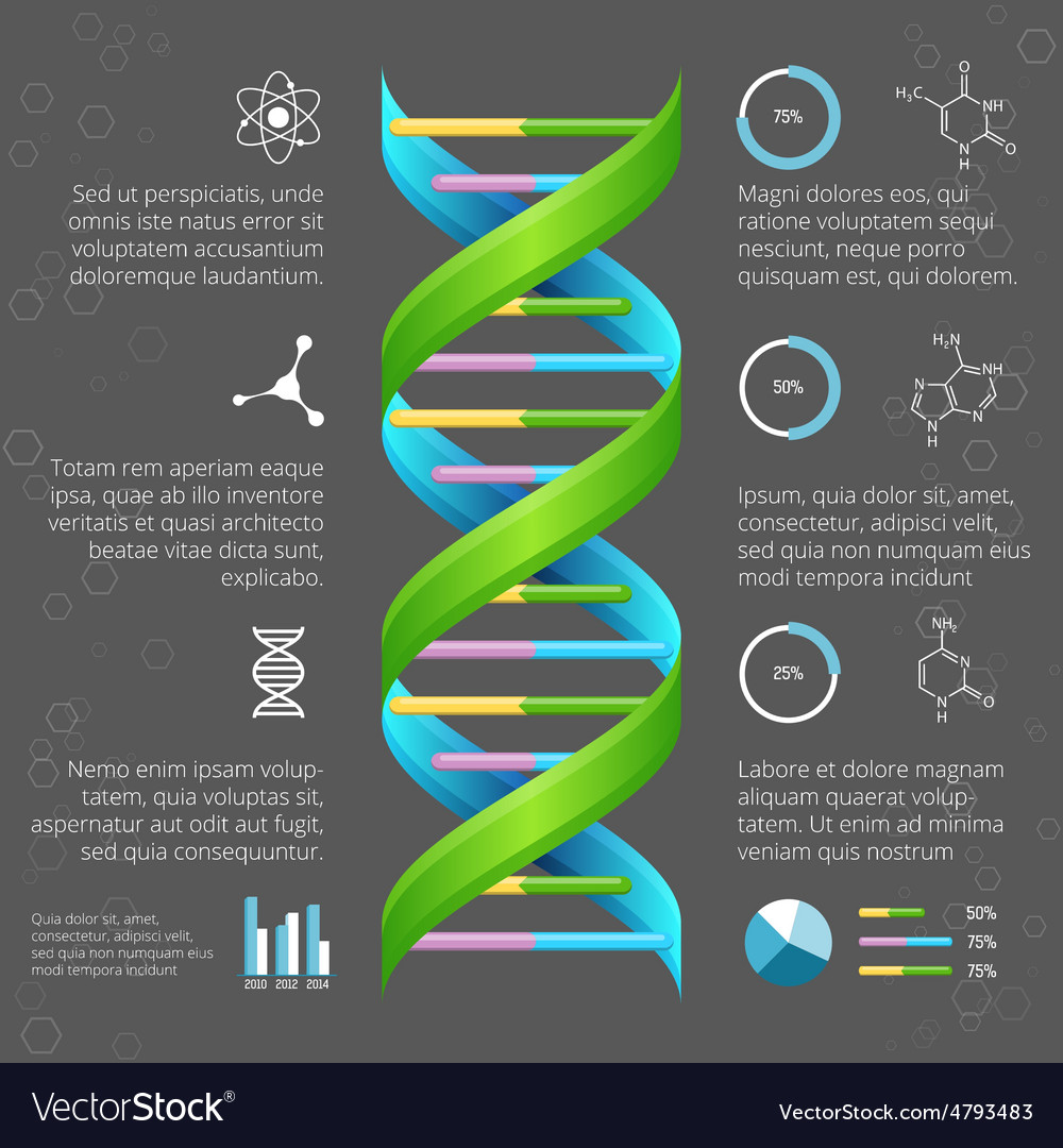 Infographic template with dna structure