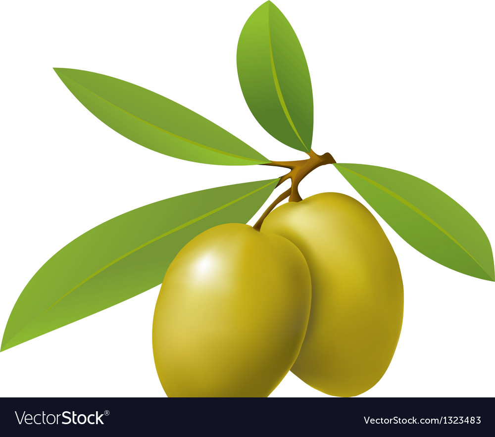 Olives On White Stock Photo - Download Image Now - Olive - Fruit